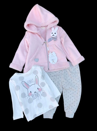Костюм 3в1: Куртка, штани, реглан "Cute Bunny", двунитка з начосом, бавовна, махра ТМ "Sani" (74 см)
