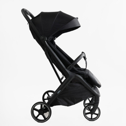 Прогулочная коляска Joy Willow