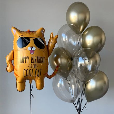 Шарики на день рождения "Крутой Кот"