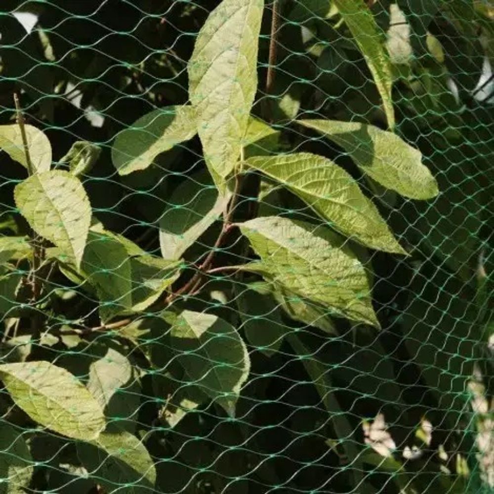 Защитная сетка от птиц 2х10 м (20х20мм). Зеленая. УФ-стабилизированная