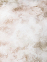 Комплект постельного белья Сатин Премиум CPA053