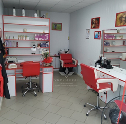 Парикмахерское кресло Flamingo 2