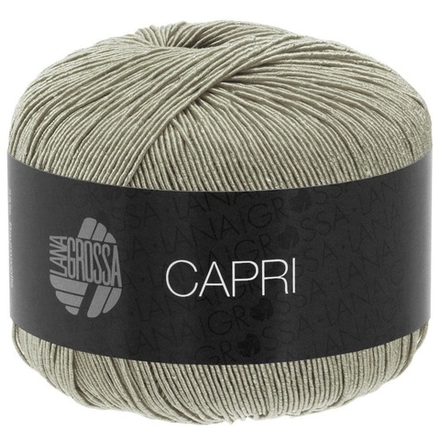 CAPRI 011