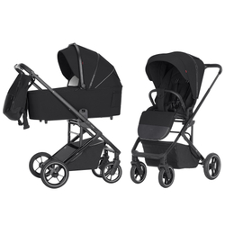 Універсальна коляска 2 в 1 Carrello Alfa CRL-6507