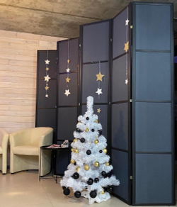 Ширма в темной раме классическая