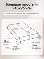 Комплект постельного белья Однотонный Сатин Элитный OCE023