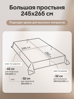 Комплект постельного белья Однотонный Сатин Элитный OCE022