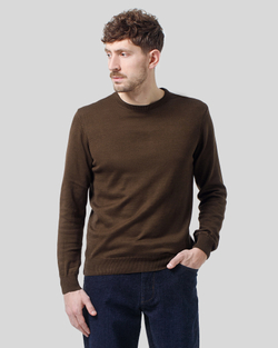 Джемпер чоловічий коричневий (арт. 7662300206)