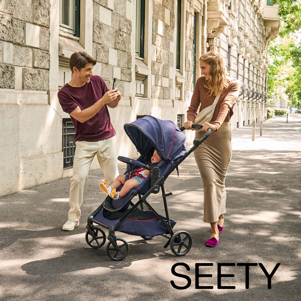 Универсальная коляска 2 в 1 Chicco Seety
