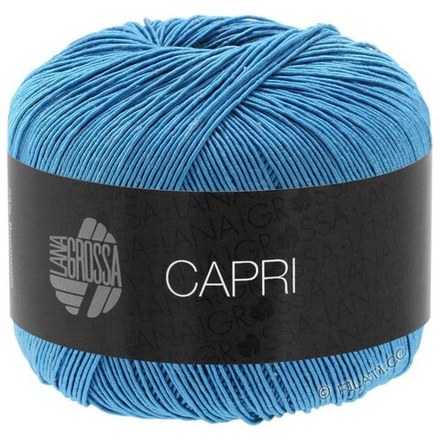 CAPRI 021