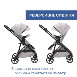 Универсальная коляска 2 в 1 Chicco Seety