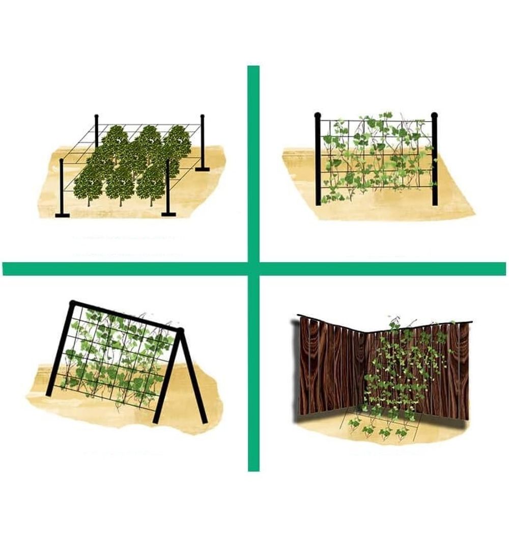 Огуречная, шпалерная сетка белая 1.7х500 м ТМ"Shadow" (Чехия)