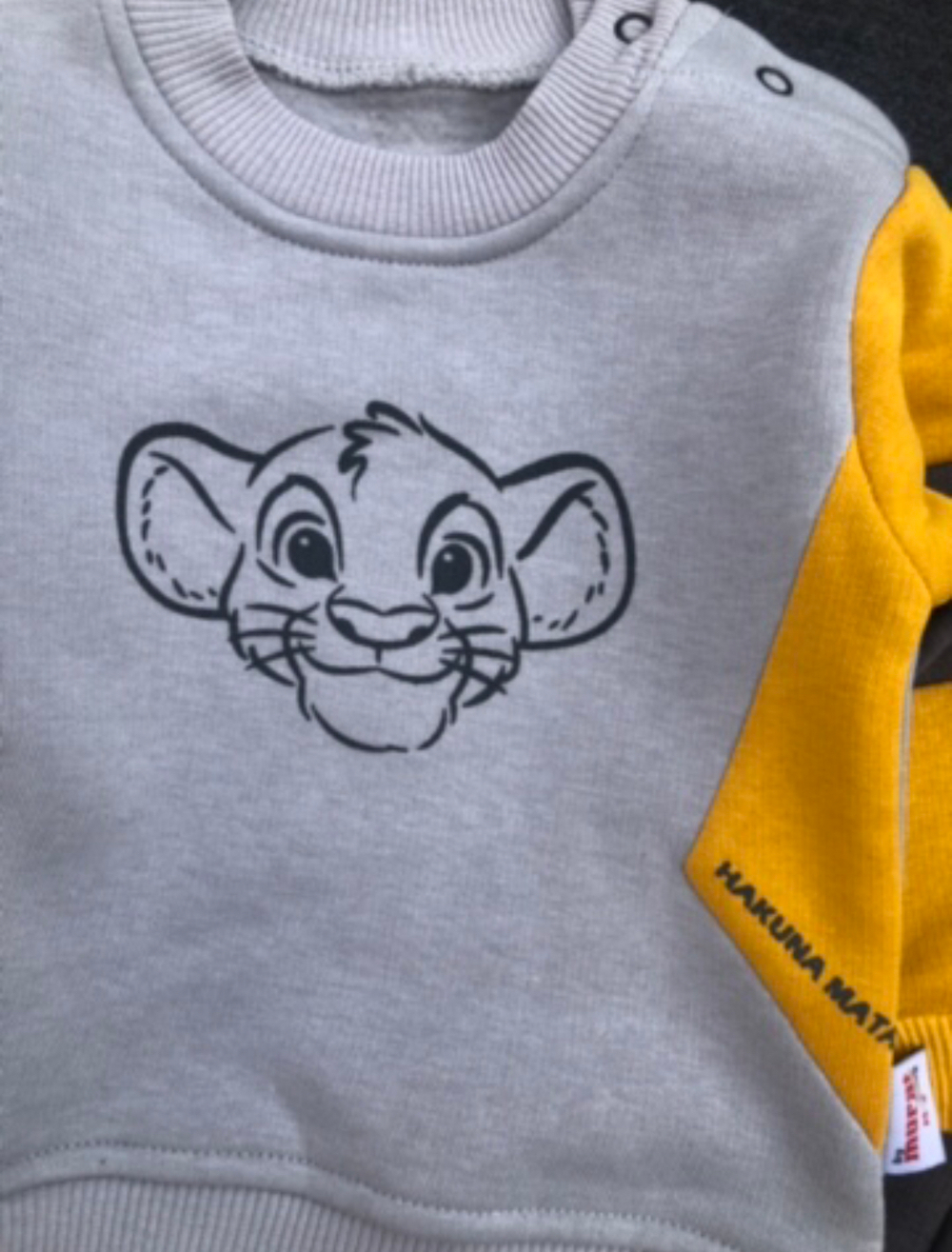 Костюм 2в1: світшот, штани "Сімба", трьохнитка з начосом ТМ "Murat Baby"