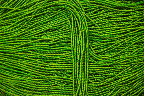 Фигурная канитель "Бамбук"  травяной 2,1мм