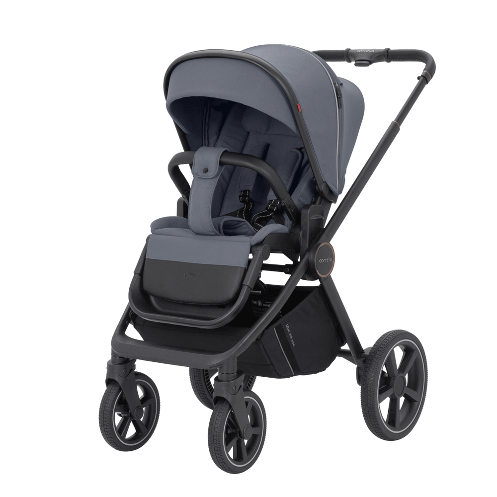 Універсальна коляска 3 в 1 Carrello Ultimo CRL-6519