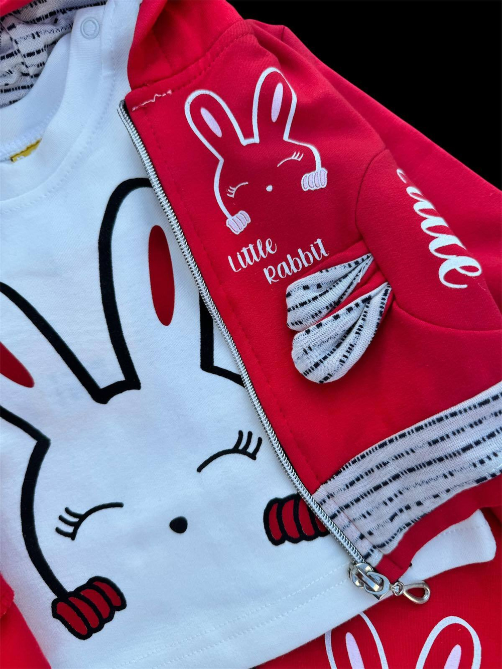 Костюм 3в1: кофта, штани, реглан "Little Rabbit", двунитка з начосом, бавовна ТМ "n-cey"