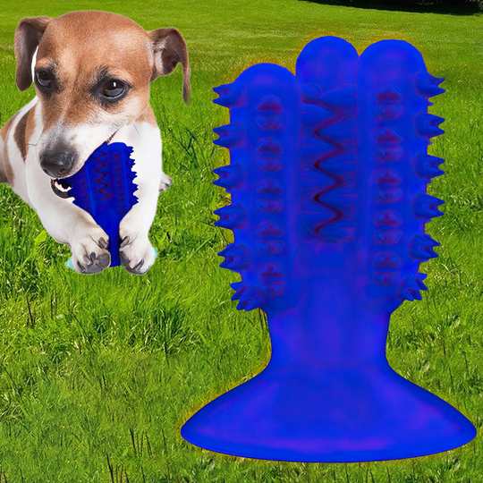 Жевательная игрушка для собак Bronzedog PetFun Dental Кактус, на присоске синяя/1605/205