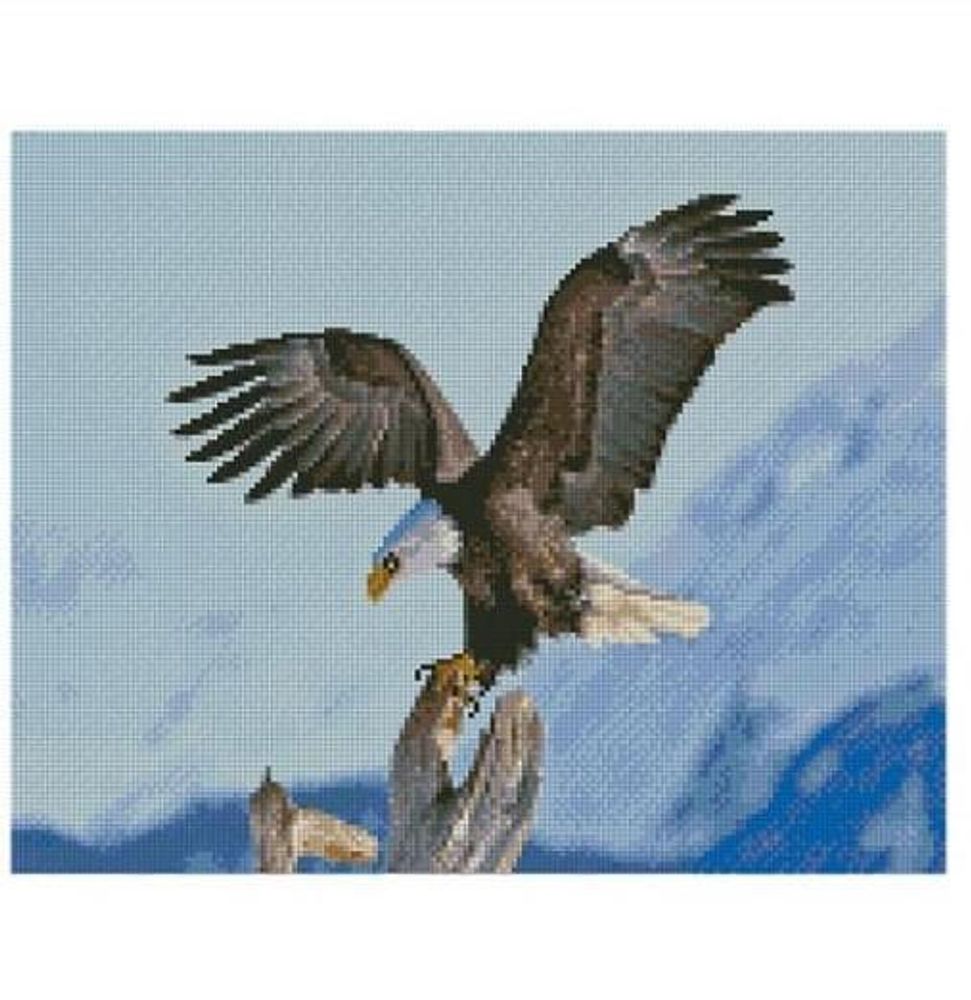 Алмазная картина FA-40779 &quot;Горный орел 2&quot;, размером 40*50 см