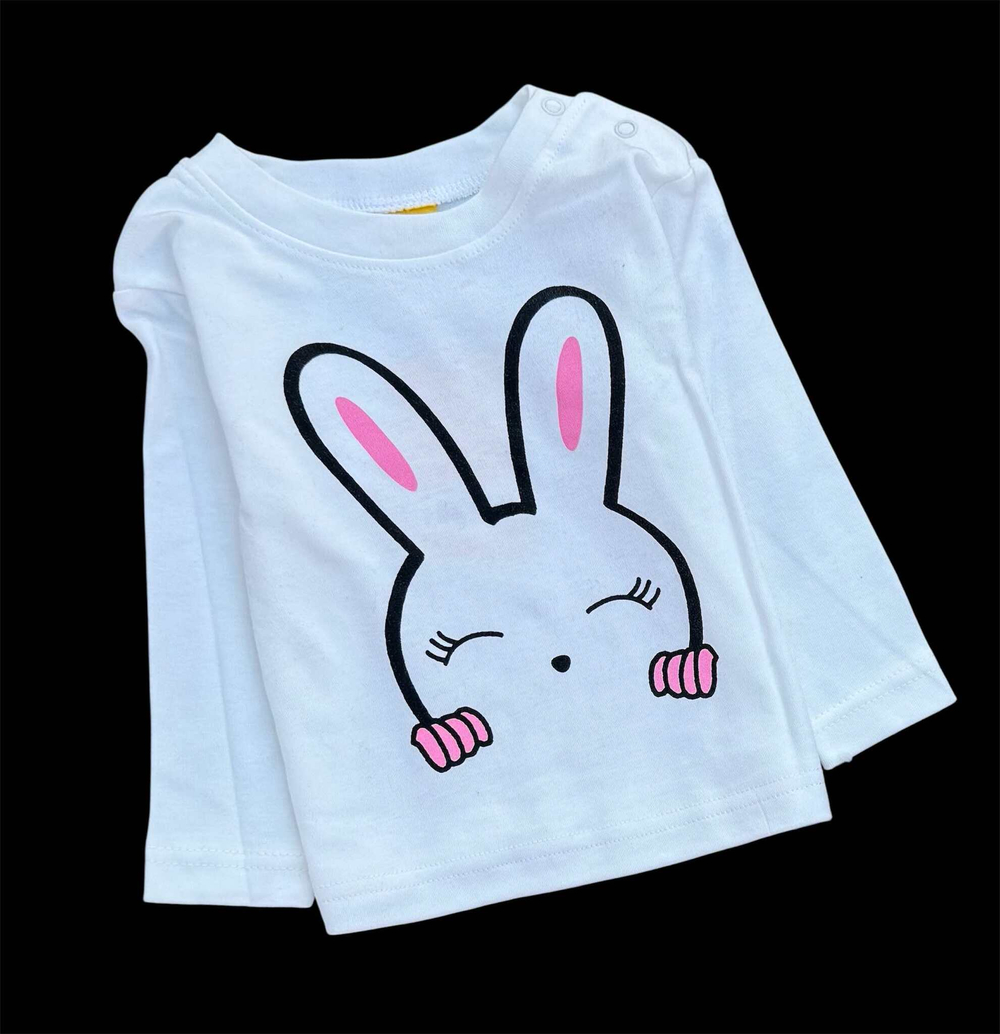 Костюм 3в1: кофта, штани, реглан "Little Rabbit", двунитка з начосом, бавовна ТМ "n-cey"