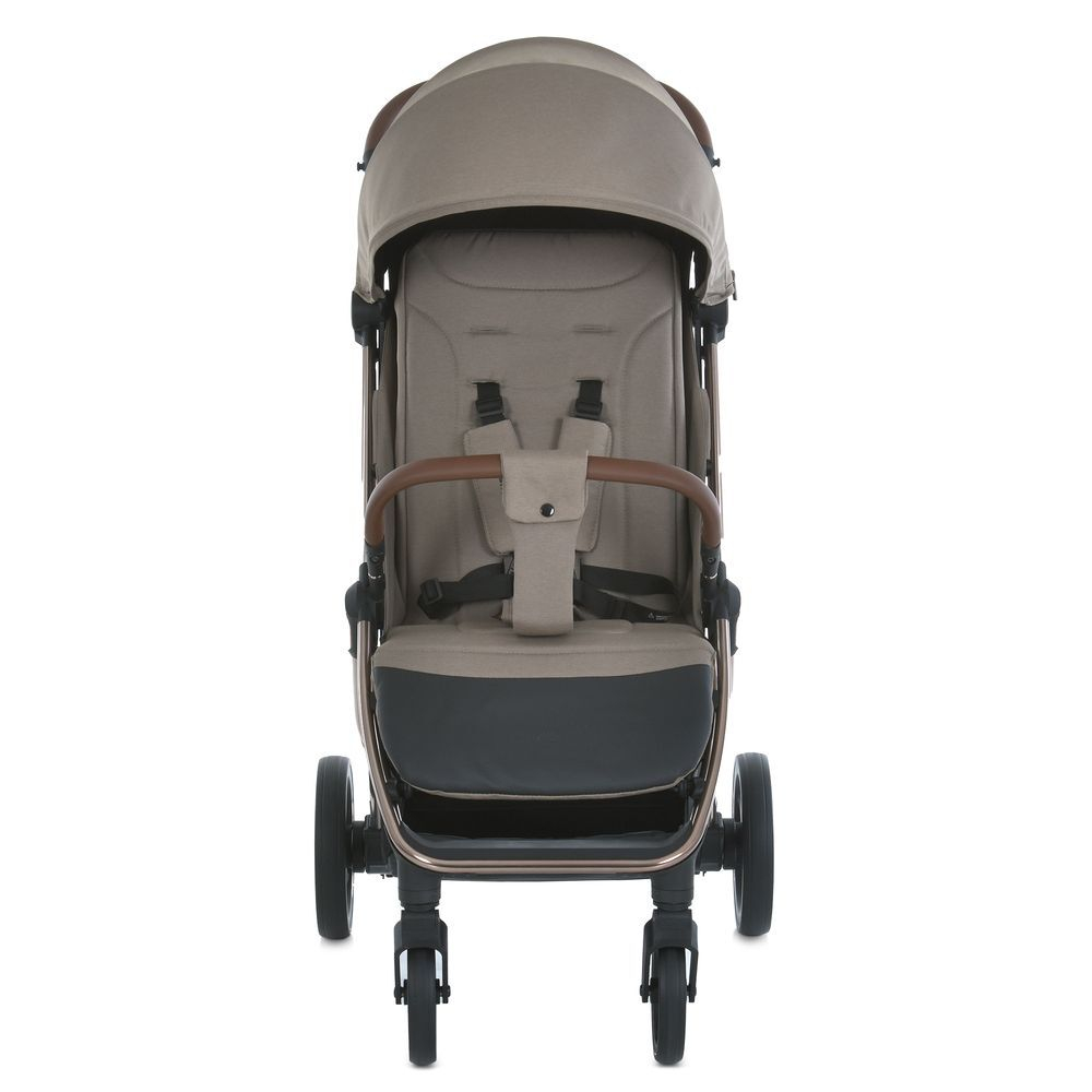 Прогулянкова коляска El Camino ME 1192 Axis