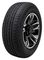 Nexen Roadian HTX RH5 255/65 R16 109H