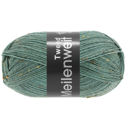 Meilenweit 100 Tweed 166