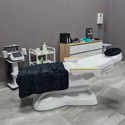 Косметологическая электрическая кушетка Sillon Lux 273B (3 мотора), white