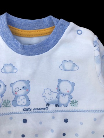 Реглан "Bear", бавовна ТМ “Caramell”