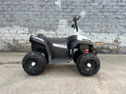 Детский электроквадроцикл "WeKids Cars"