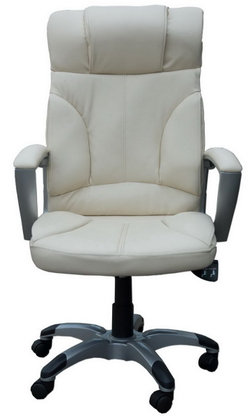 Офісне масажне крісло Директ