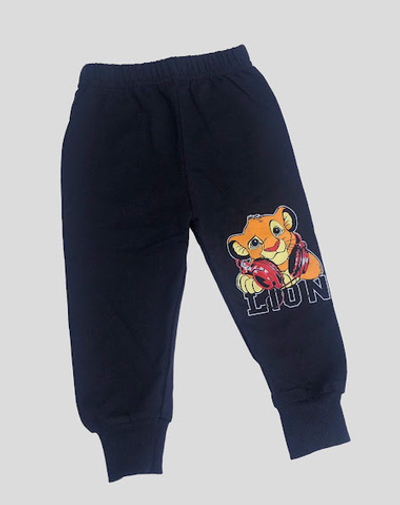 Штани "Lion", двунитка ТМ "DJW"