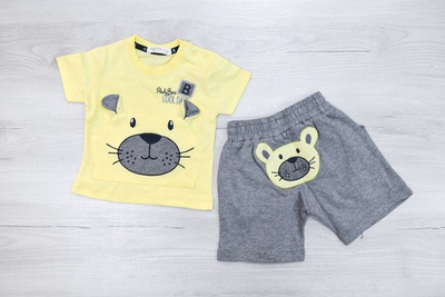 Костюм 2в1: футболка, шорти, бавовна, двунитка ТМ "Breeze"