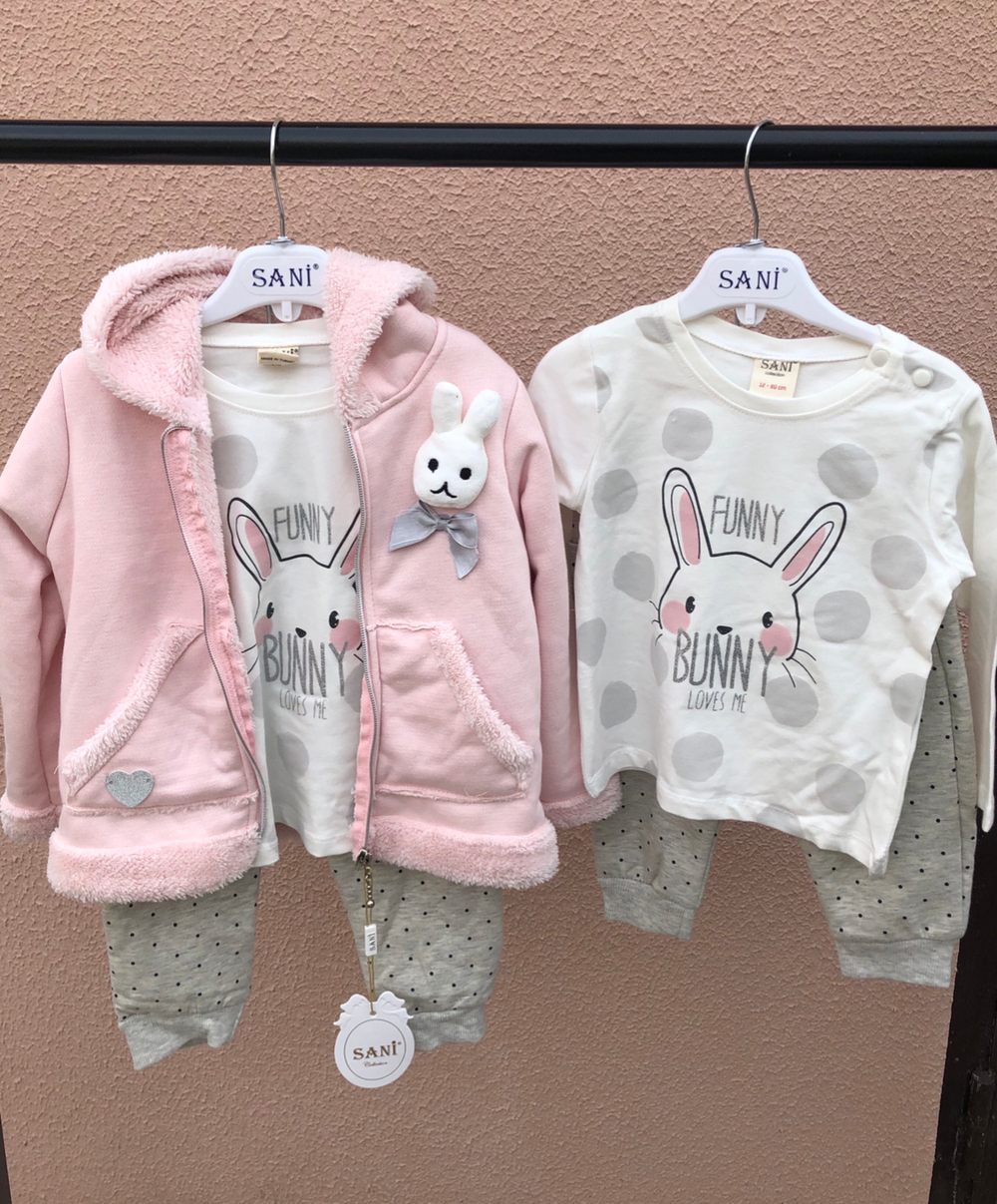 Костюм 3в1: Куртка, штани, реглан "Cute Bunny", двунитка з начосом, бавовна, махра ТМ "Sani" (74 см)