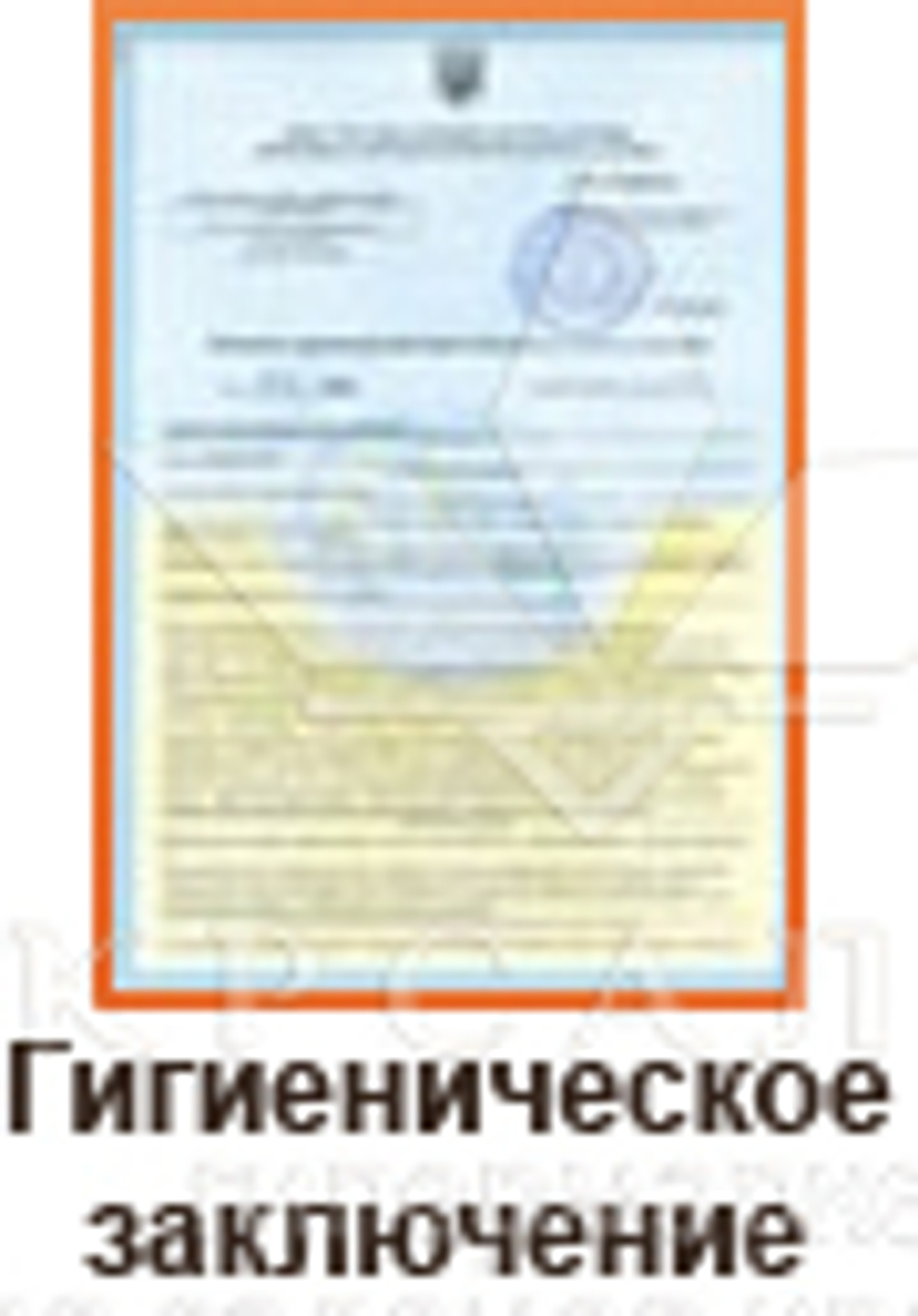 Стул-седло мастера 6011 HY