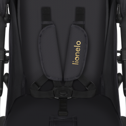 Прогулочная коляска Lionelo Annet Plus