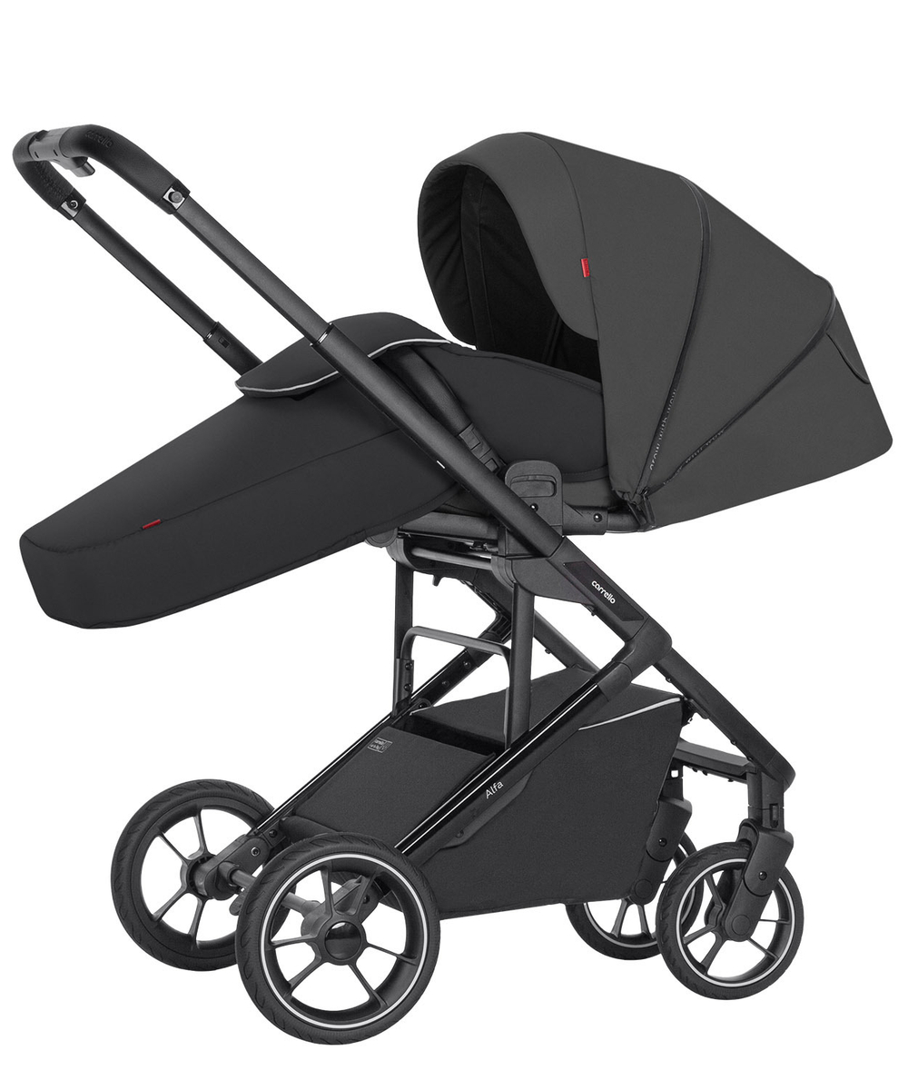 Прогулянкова коляска Carrello Alfa CRL-5508 BF