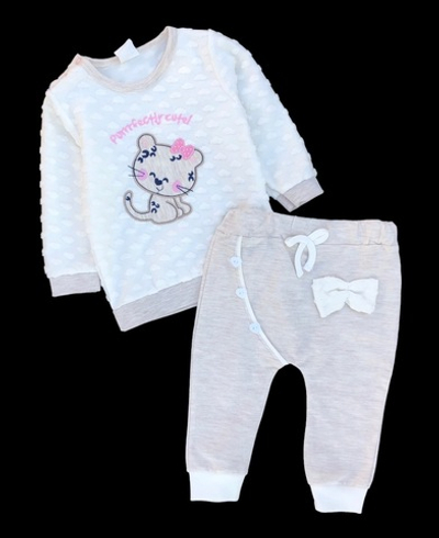 Костюм 2в1 : світшот, штани, двунитка ТМ "Civil"