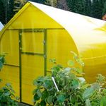 Пленка тепличная  120мкм. 6м/50м. 12 месяцев уф- стабилизатор