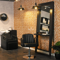 Парикмахерское кресло Bronx