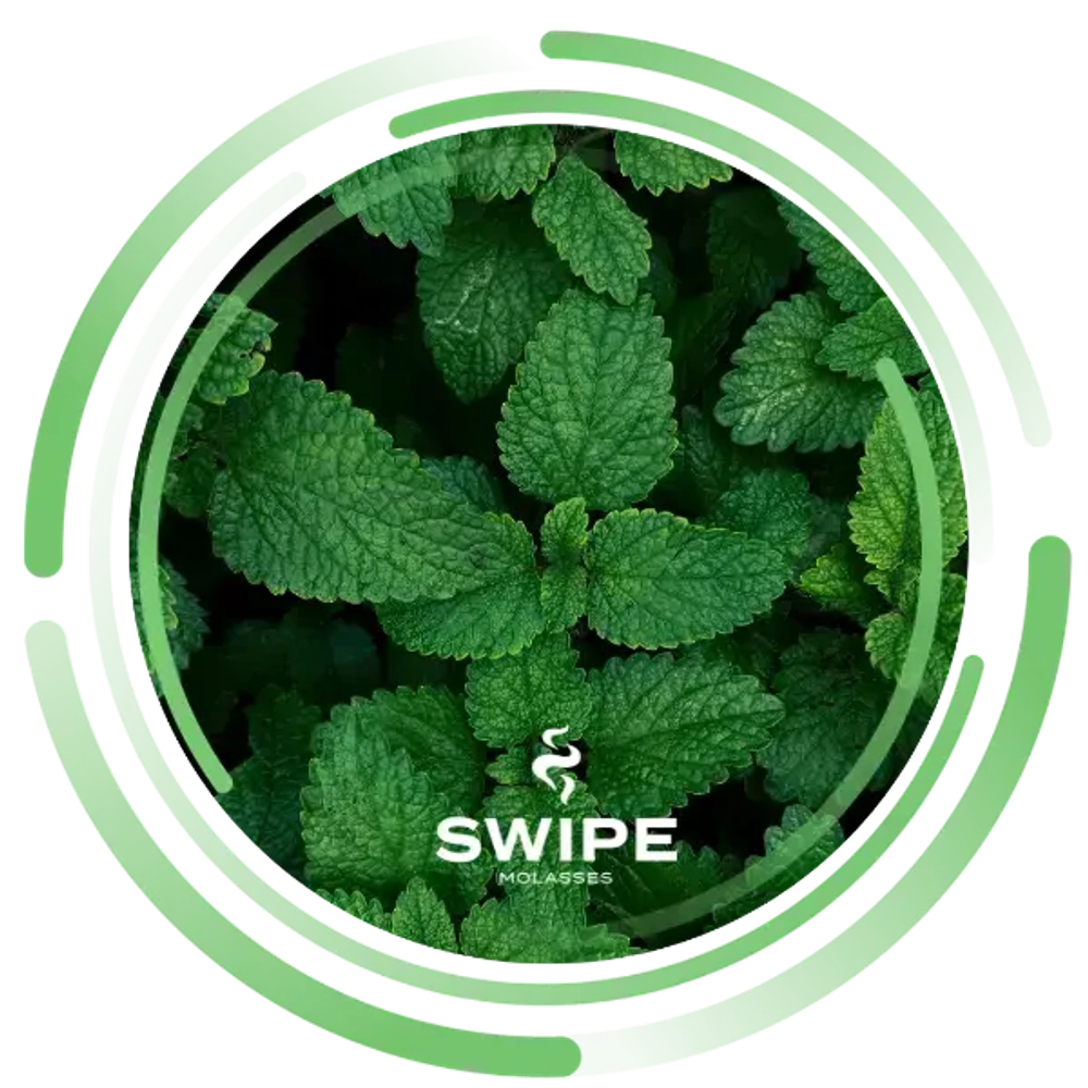 Бестабачная Смесь Swipe Mint (Свайп Мята) 50г