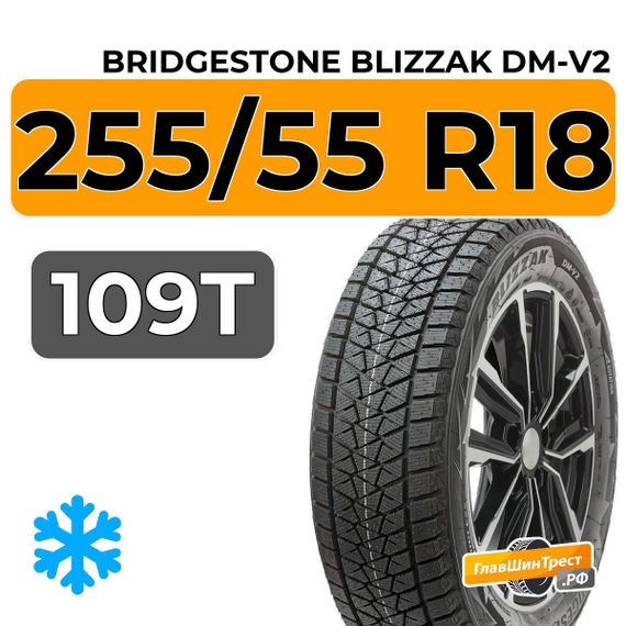 Bridgestone Blizzak DM-V2 255/55 R18 109T