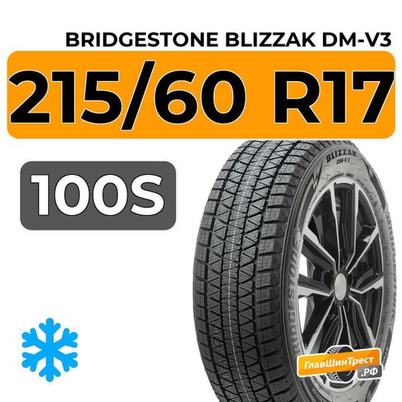Bridgestone Blizzak DM-V3 215/60 R17 100S