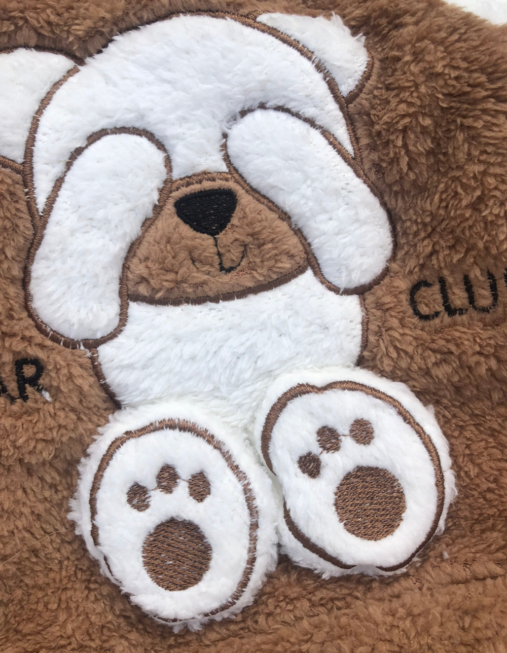 Костюм 2в1: світшот, штани "Bear club", махра ТМ "Murat Baby" (74 см)