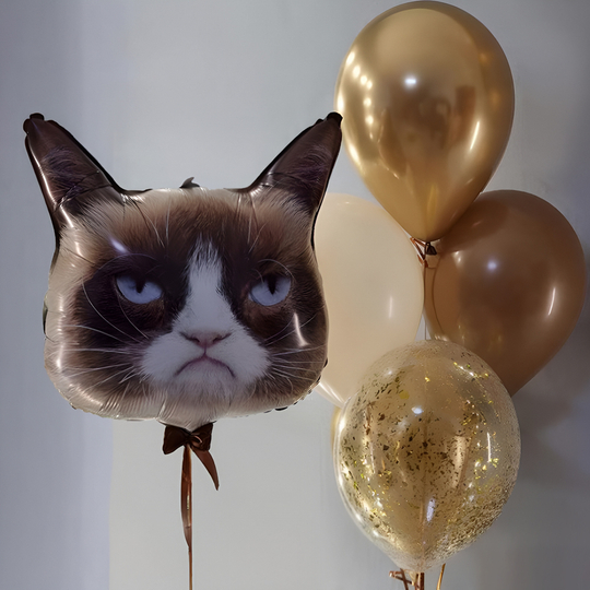 Кульки з гелієм на день народження «Угрюмий Кіт»