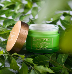 Денний крем протектор для жирної та проблемної шкіри SPF5 Маргоза та чайне дерево 100 г, SPA Ceylon