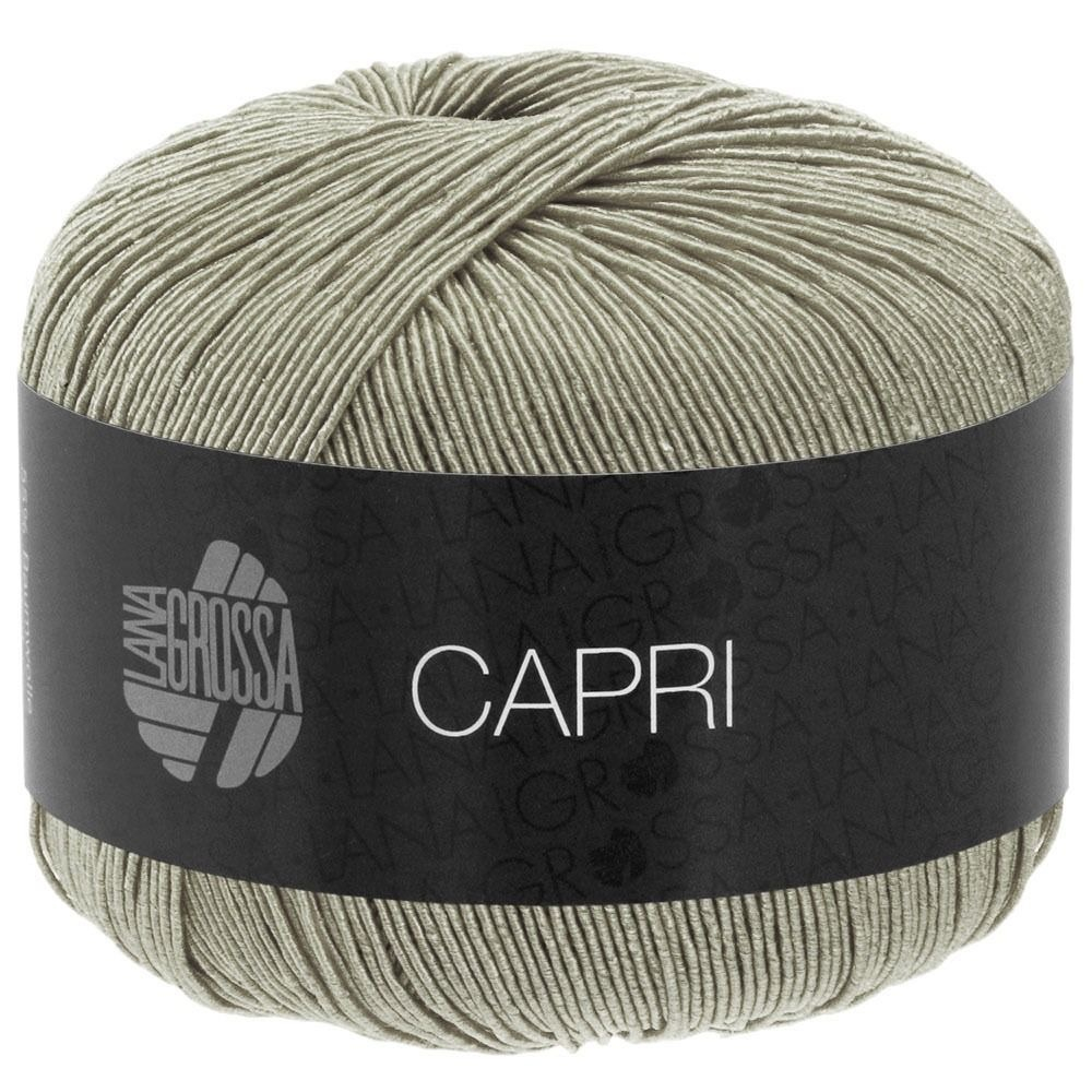 CAPRI 011