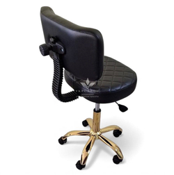 Стульчик мастера T-8 Gold 1