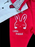 Костюм 3в1: кофта, штани, реглан "Little Rabbit", двунитка з начосом, бавовна ТМ "n-cey"