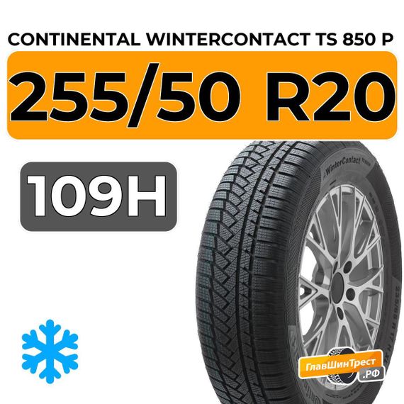 Continental WinterContact TS 850 P SUV 255/50 R20 109H