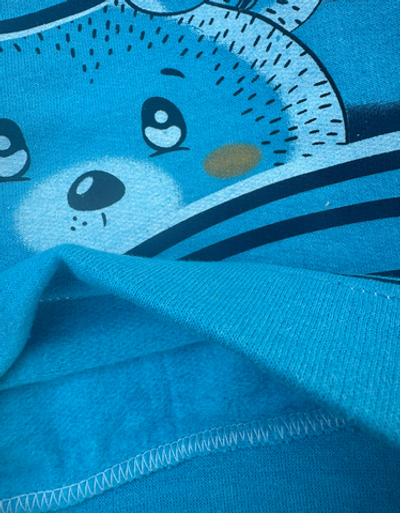 Костюм 2в1: світшот, штани ""Bear", двунитка з начосом ТМ "TR"